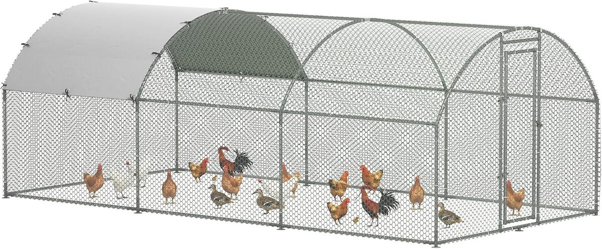 Test : enclos PawHut grand modèle, robustesse et espace pour vos poules