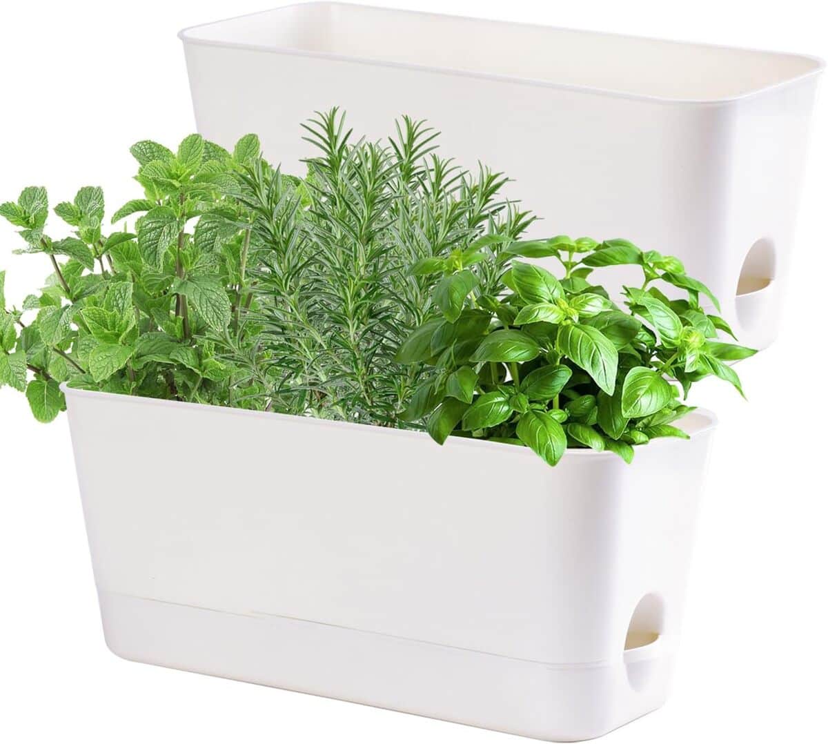 Test jardinière aromatique auto-arrosante : pratique et design