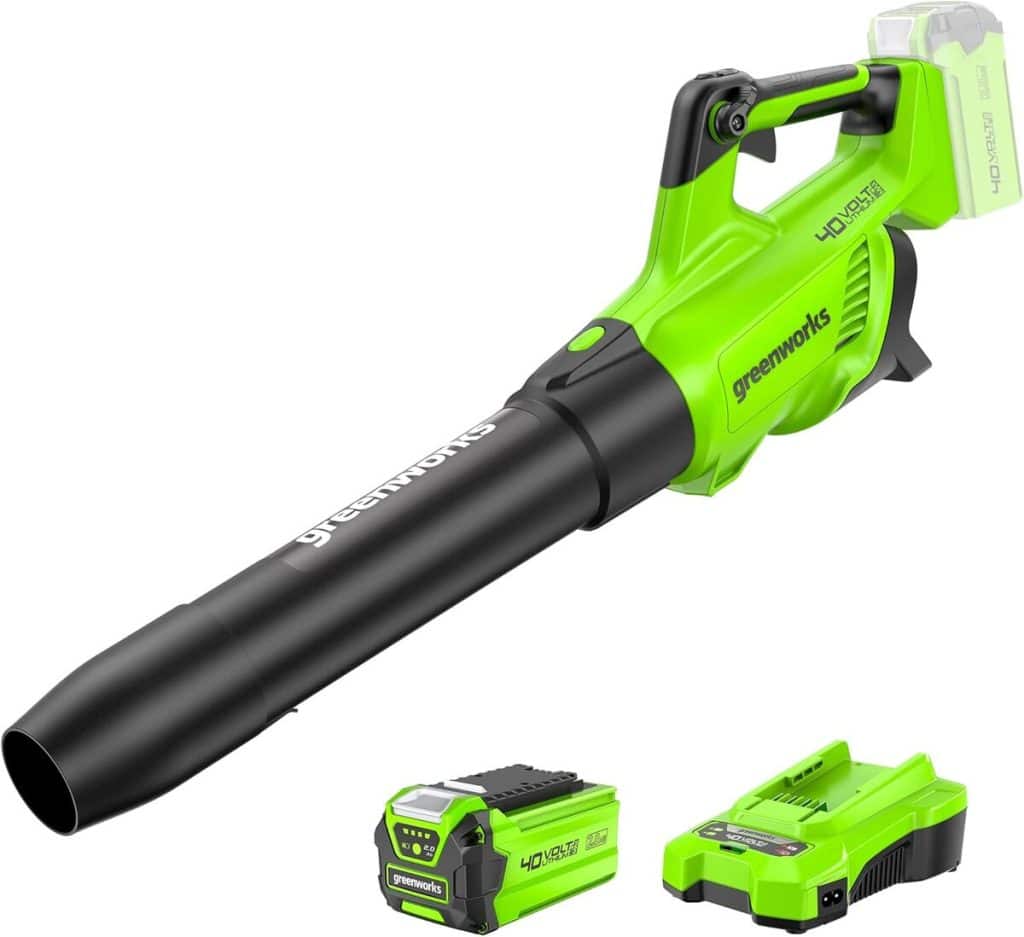 Test souffleur Greenworks 40V : puissance et performance sans fil