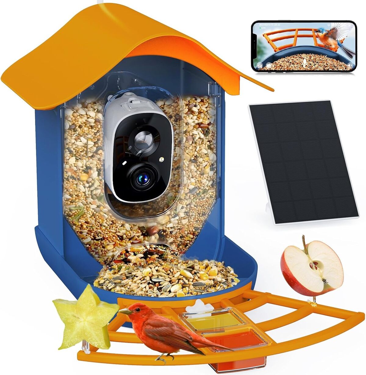 Test de la PeckCam® mangeoire intelligente HD avec caméra et panneau solaire