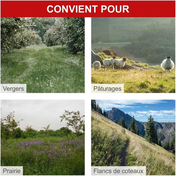 Scheppach Tondeuse à Barre de Coupe BMS196-88 – Motofaucheuse – Moteur à Essence 4 Temps 5,7 CV – 4,2 KW – Largeur de Coupe 88 cm – Hauteur de Coupe 30-60 mm – Démarreur à câble – Jardins de 3000 m²