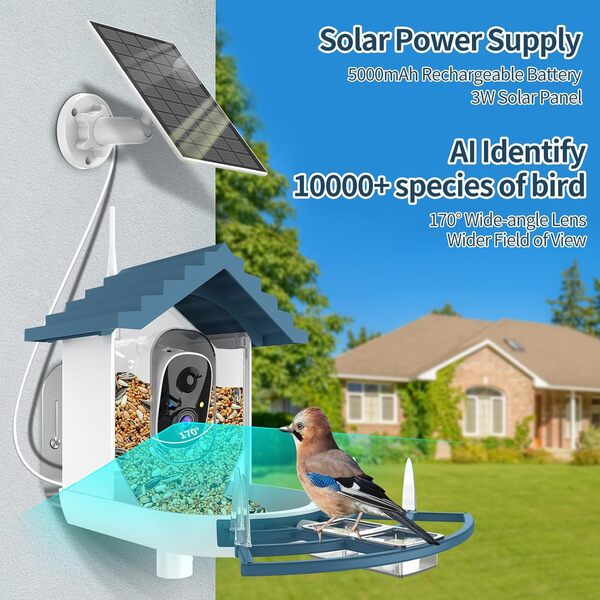 Mangeoire intelligente pour oiseaux avec caméra, caméra d'identification des oiseaux avec énergie solaire, vue en direct FHD, capture automatique des vidéos des oiseaux dans le jardin, porche