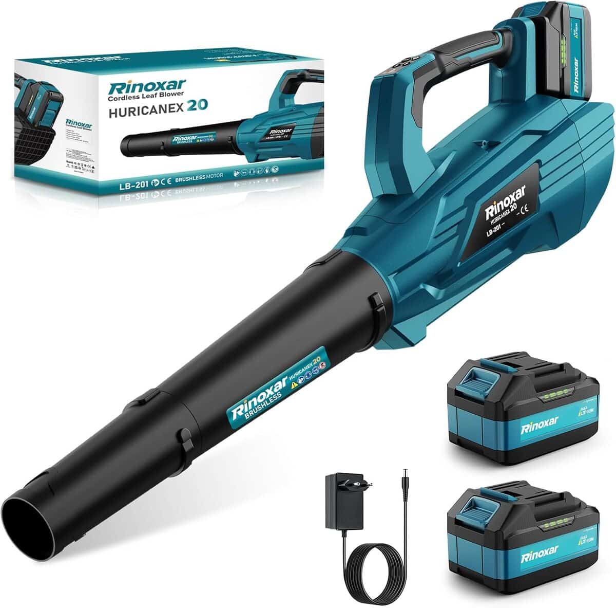 Test du souffleur batterie 5 vitesses avec moteur brushless