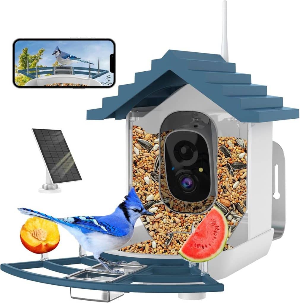 Mangeoire à Oiseaux Avec Caméra 2K HD Et IA - Alimentation Solaire, étanche IP65, Notification Instantanée