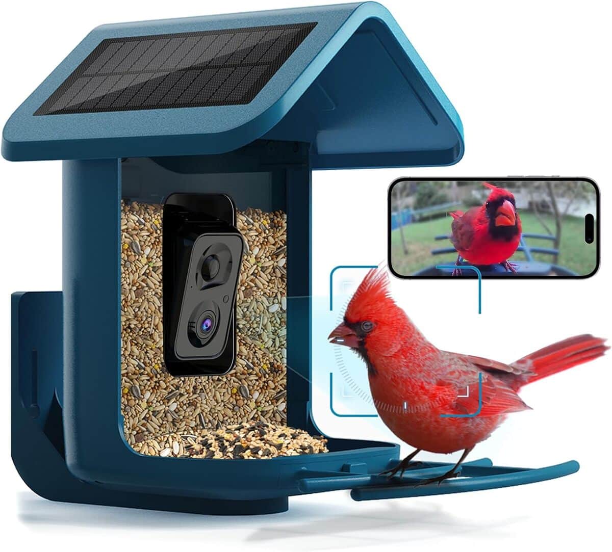 Test de la mangeoire à oiseaux avec caméra solaire 2K