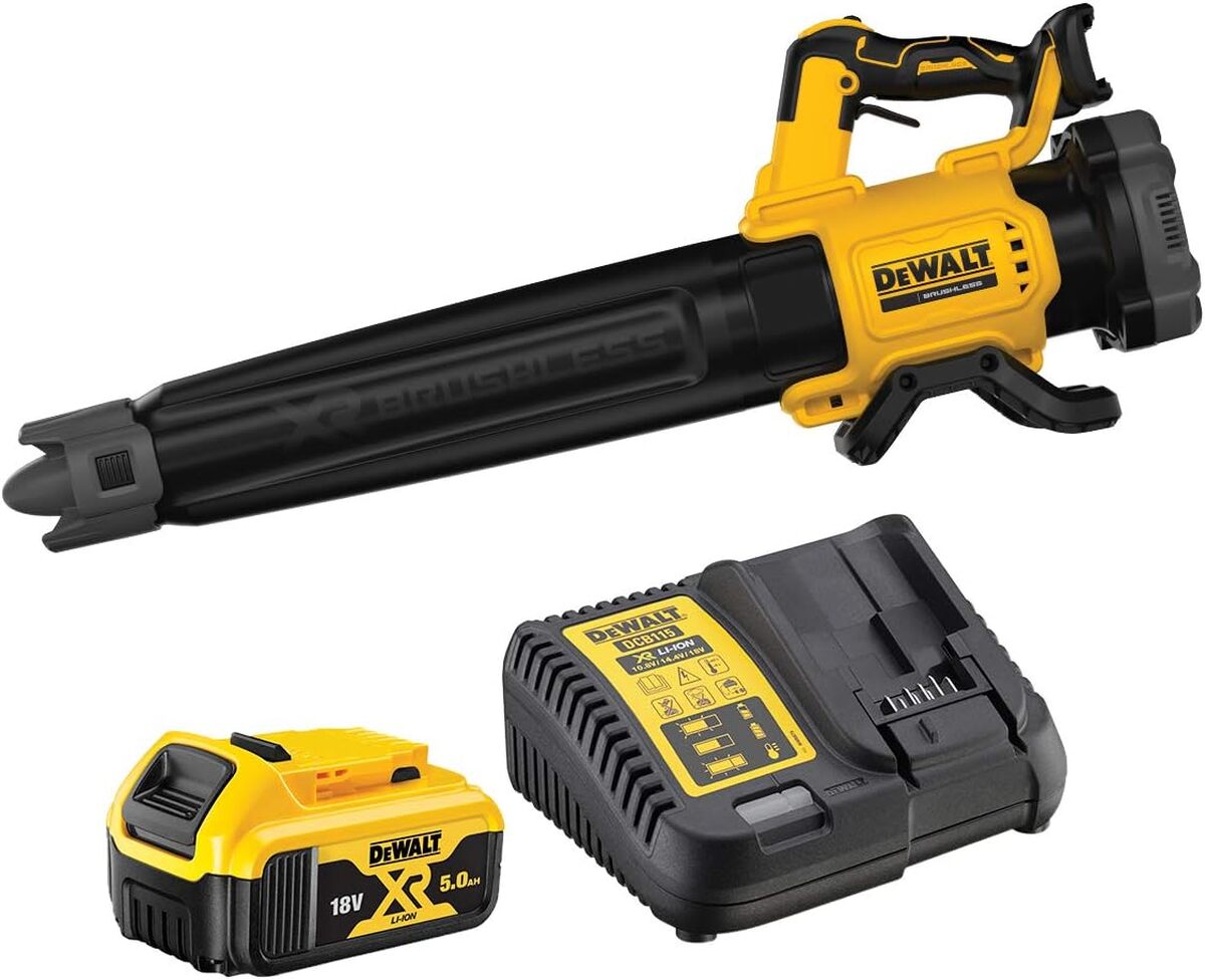 Test du souffleur sans fil Dewalt DCMBL562P1-QW : puissance et mobilité