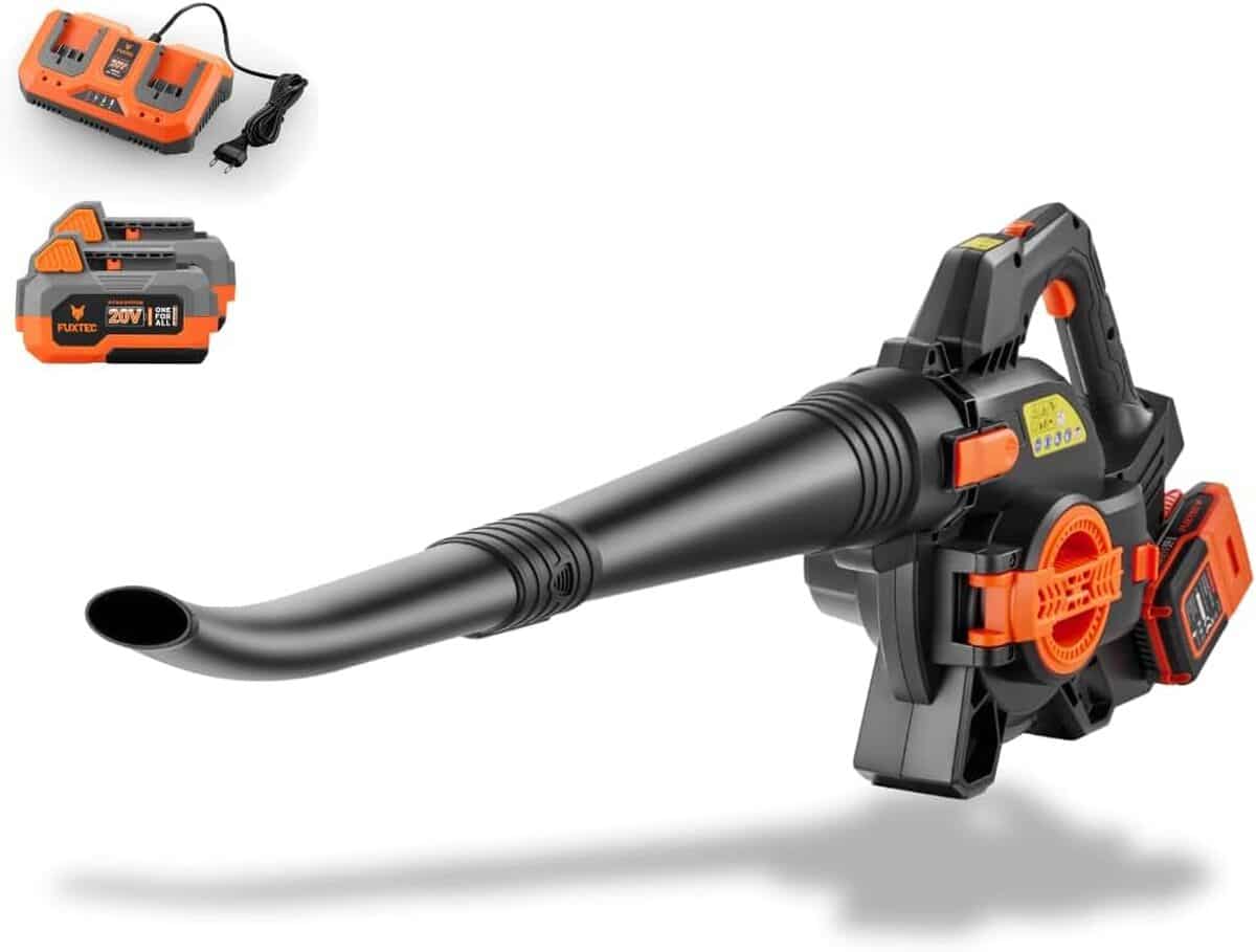 Test : souffleur FUXTEC FX-E2LBSSET 40 V 2en1