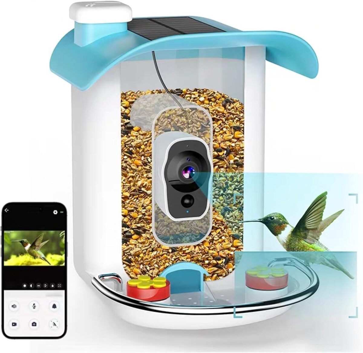 Test de la mangeoire intelligente avec caméra WiFi 4K HD