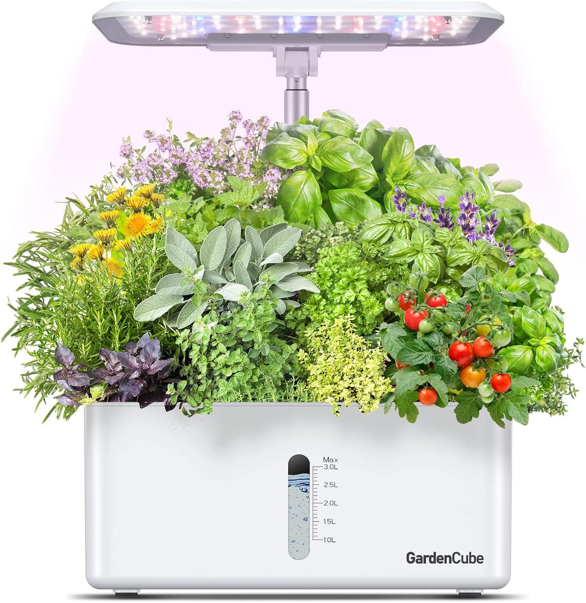 Test du système hydroponique Gardencube : 8 gousses et lumière intégrée