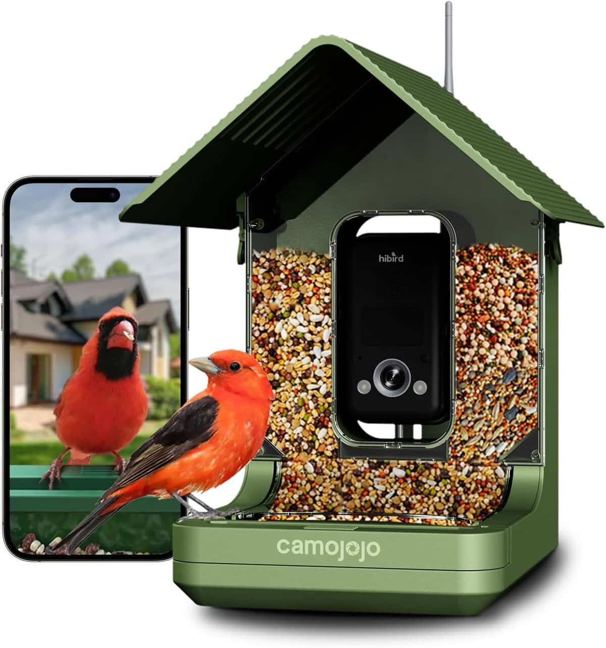 Test : mangeoire Camojojo intelligente avec caméra 4K et détecteur d'oiseaux