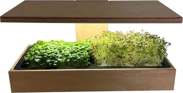 Home - Solo : cultivez Vos Herbes aromatiques en Quelques Jours Seulement  !, Bois [Classe énergétique A+++]