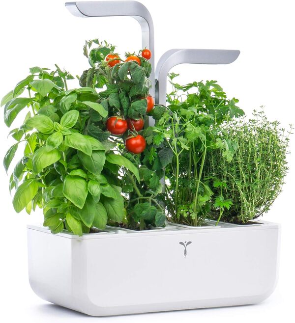 Véritable® SMART (Arctic White version) - Potager d’Intérieur Fabriqué en France – Jardin Autonome Intelligent avec sa Technologie ADAPT’ LIGHT - Livré Avec 4 Lingots®