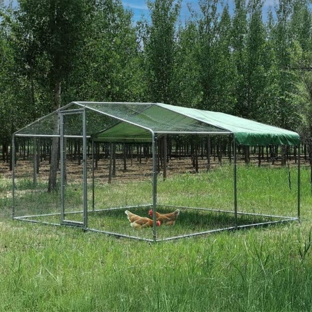 Test de l'enclos poulailler Animal Valley 12m² acier galvanisé