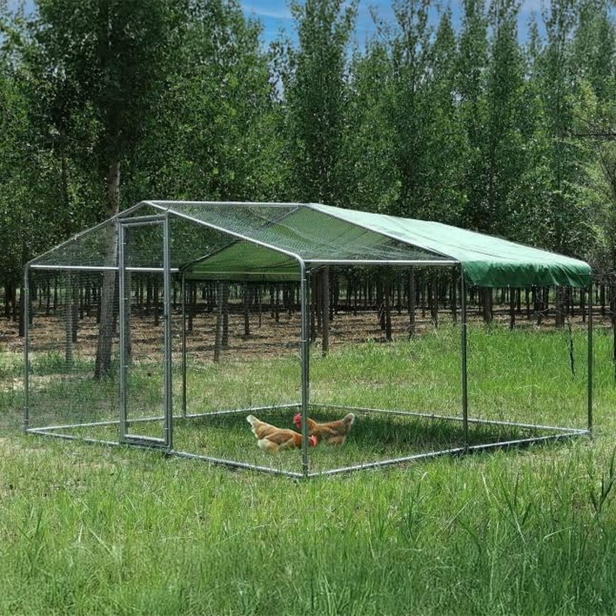 Test de l'enclos poulailler Animal Valley 12m² acier galvanisé