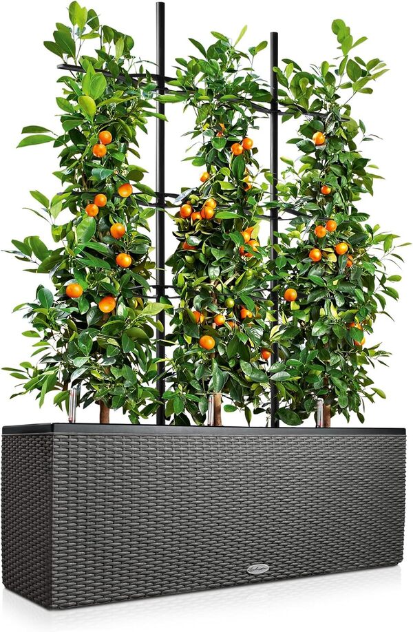 Lechuza – Pot de Fleurs d’Extérieur et d'Intérieur – Cottage Trio – Réserve d'Eau Intégrée – Coloris Granit – 130 x 42 x 44 cm