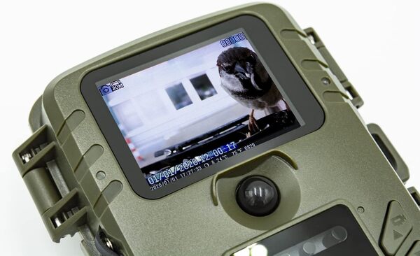 Technaxx Station de Caméra pour Mangeoire à Oiseaux avec Suspension de Friandises, Boîte de 150 g pour la Nourriture et Le Bain pour l'eau - Caméra d'observation des Oiseaux TX-165