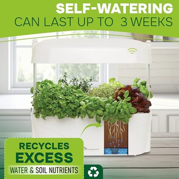 Découvrez notre avis sur le kit vegepod pour cultiver vos plantes à l'intérieur avec un éclairage LED performant. Guide d'utilisation et recommandations inclus.