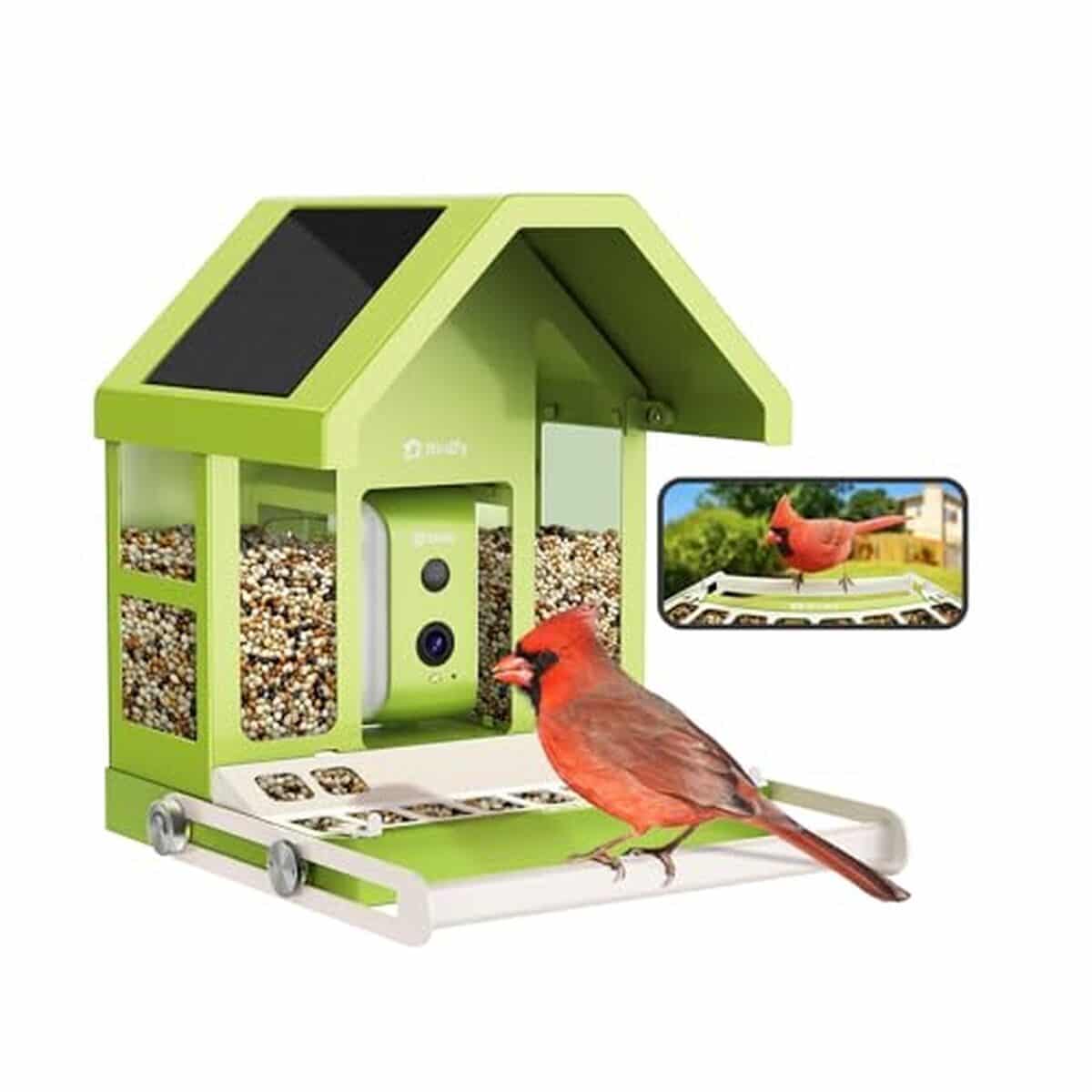 Test : caméra mangeoire Birdfy métal 1080P avec vision nocturne et solaire