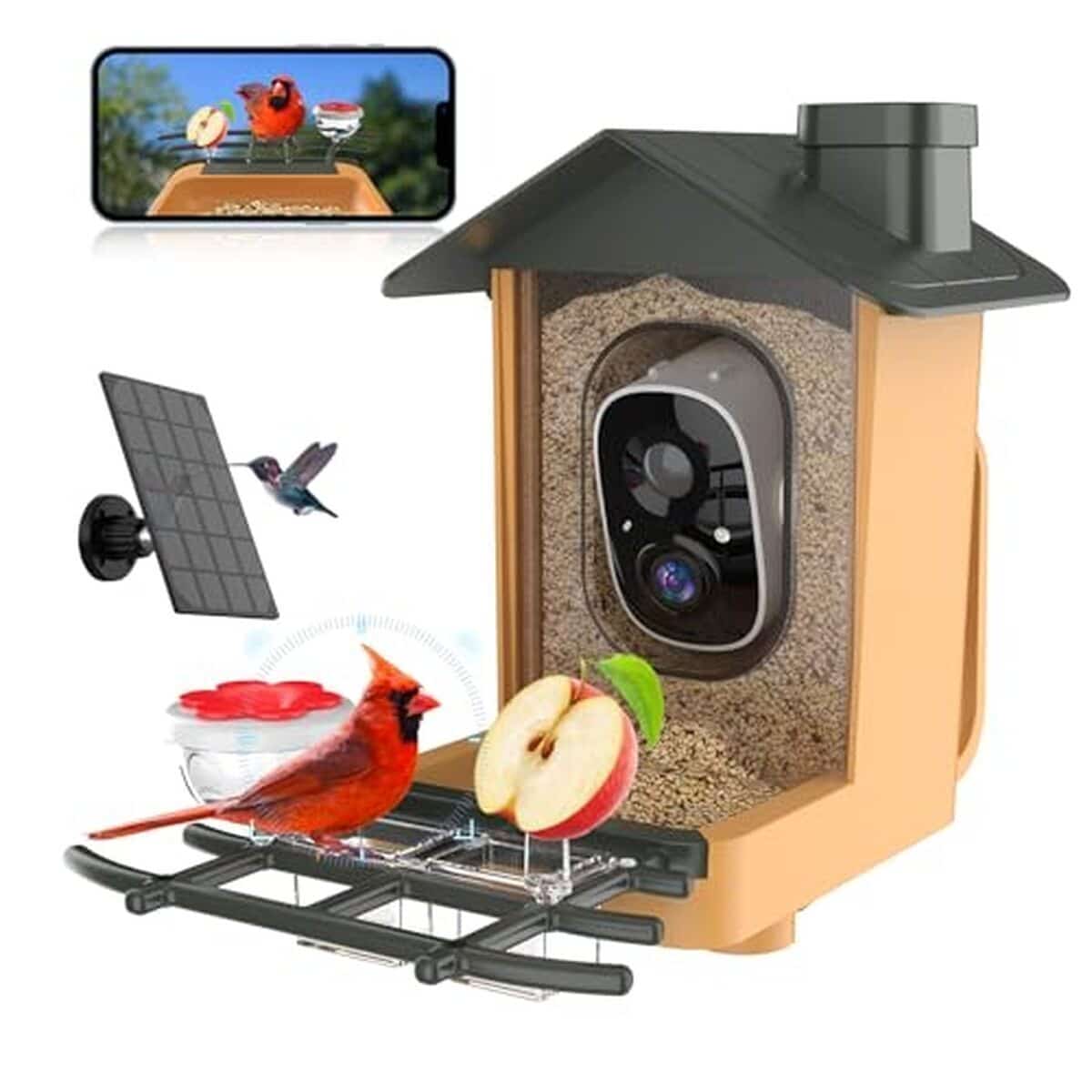 Test de la mangeoire à oiseaux avec caméra AI : vision nocturne et panneau solaire