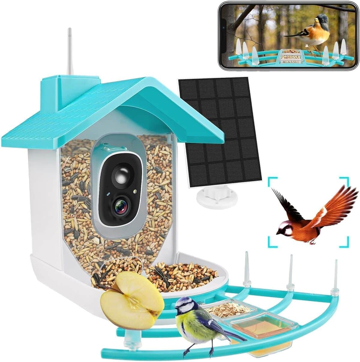 Test de la mangeoire intelligente EBANKU : observez les oiseaux avec caméra solaire