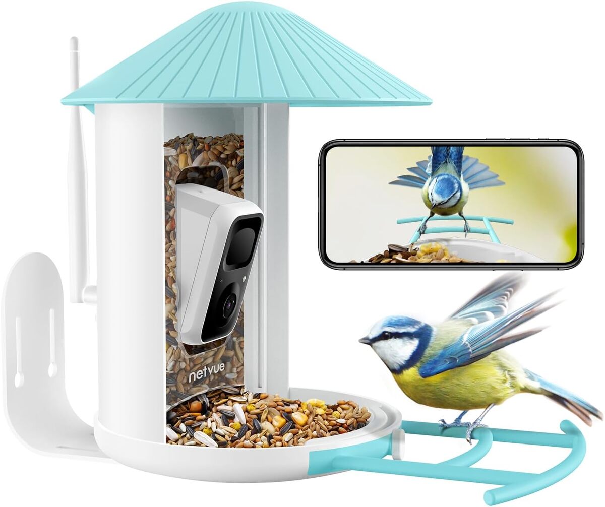 Test : mangeoire connectée NETVUE Birdfy avec caméra intégrée