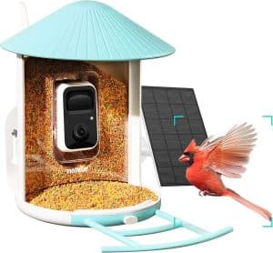 Test : mangeoire Netvue avec caméra IA pour observer les oiseaux
