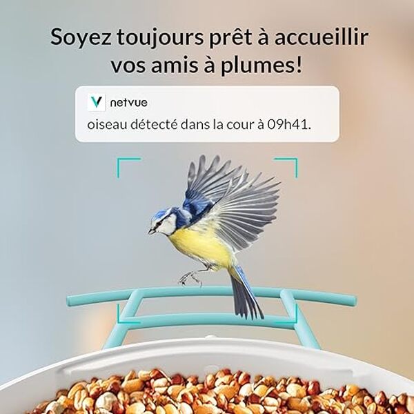 Explorez la mangeoire à oiseaux NETVUE : une solution innovante pour nourrir et observer vos oiseaux en temps réel grâce à sa caméra intégrée. Découvrez ses fonctionnalités et avantages pour une expérience unique.