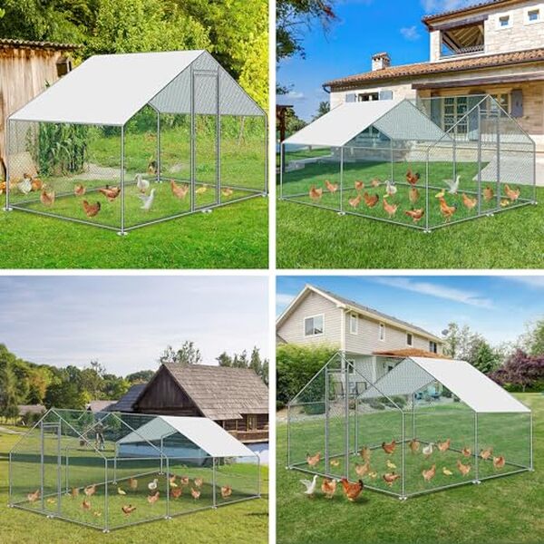 Découvrez notre évaluation détaillée du poulailler Cecaylie 9 m² en métal, avec une serrure sécurisée. Un abri robuste et sûr pour vos poules, alliant espace et protection.