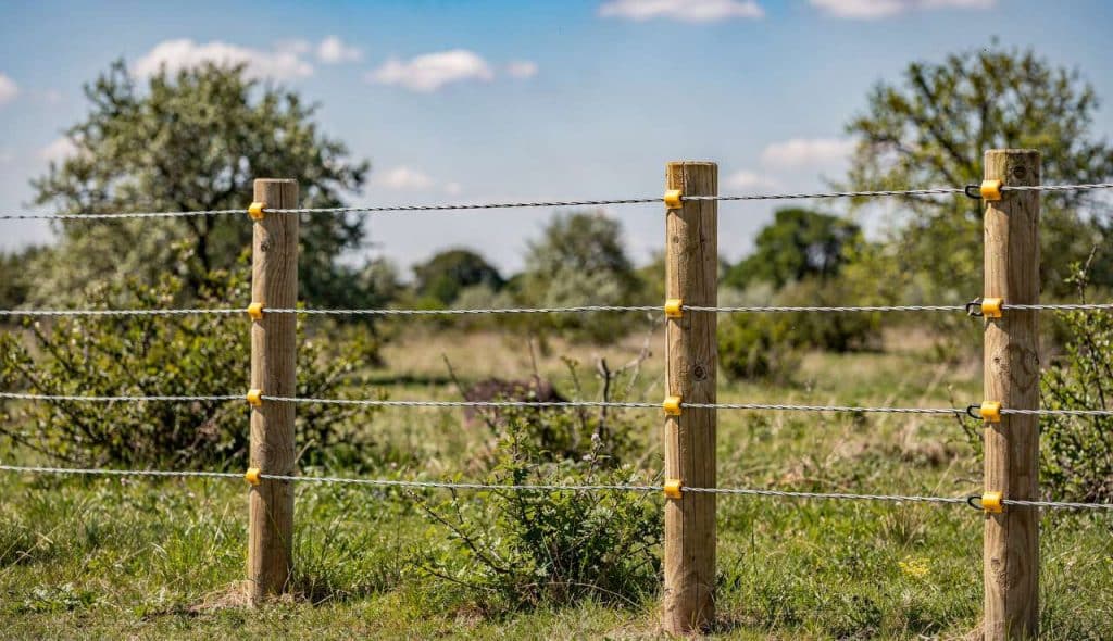 Clôtures électriques : repousser les sangliers efficacement