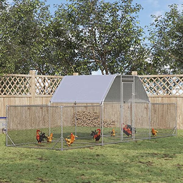 Découvrez notre test de l'enclos poulailler PawHut 12, 5 m² en acier galvanisé : évaluation détaillée de sa durabilité, convivialité et des retours d'utilisation pour un habitat sécurisé et pratique pour vos poules.