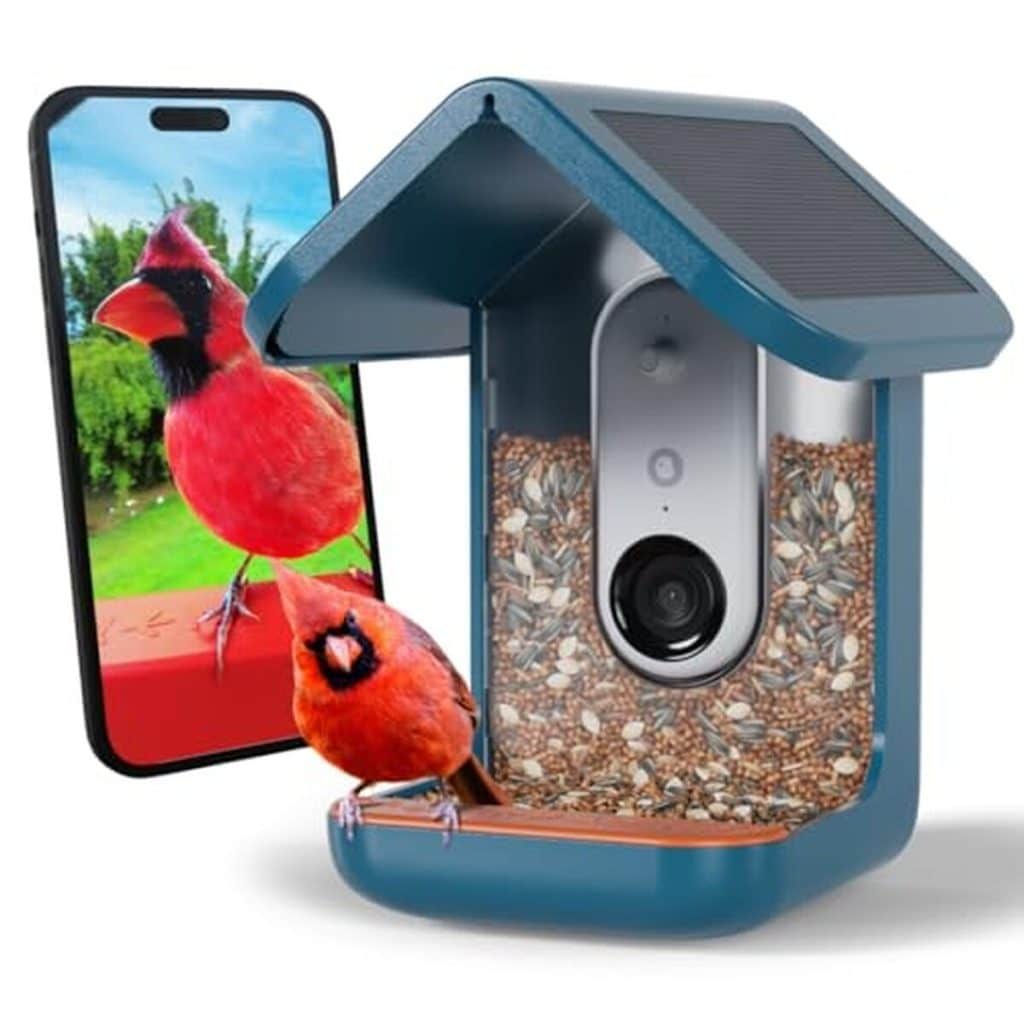 Test : mangeoire Bird Buddy Pro, caméra 2K et IA