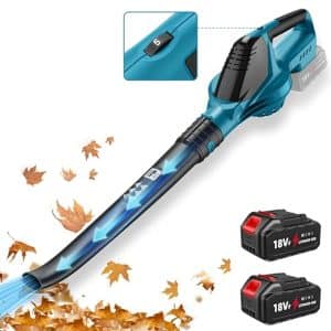 Test du souffleur électrique sans fil avec moteur sans balais et batteries 4, 0 Ah