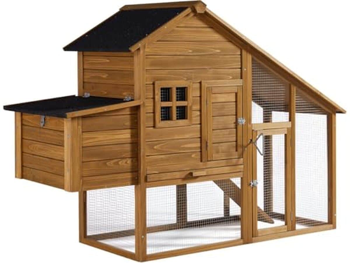 Test du poulailler Habitat et jardin Princesse avec pondoir