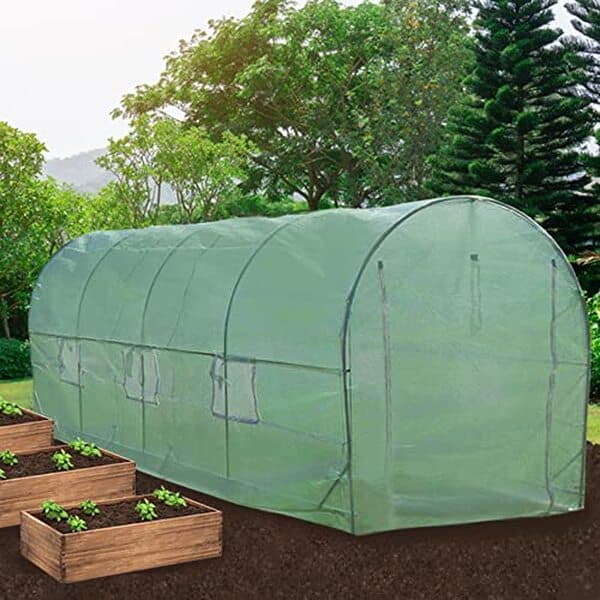 Découvrez notre test complet de la serre polytunnel Monster Shop 5m x 2m : caractéristiques, avantages et performance pour cultiver vos plantes toute l'année. 