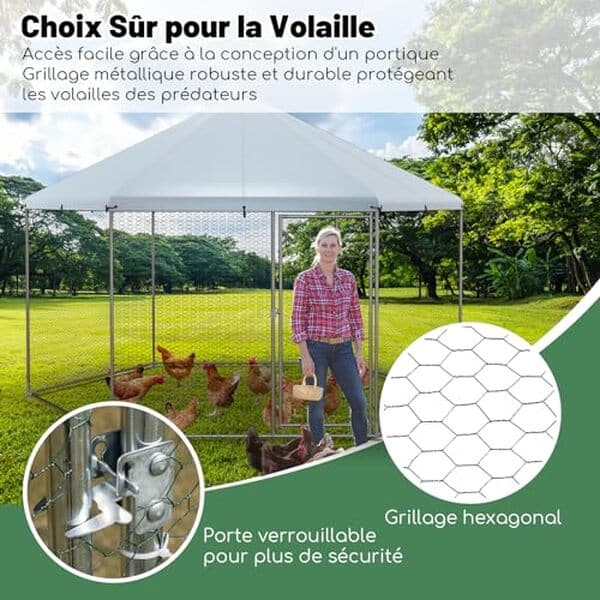 Découvrez notre test détaillé du poulailler métallique Goplus pour 8-15 volailles : caractéristiques, avantages, inconvénients et conseils d'installation pour bien choisir votre poulailler. 