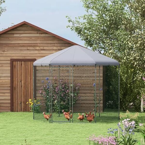 Découvrez notre test détaillé de l'enclos poulailler hexagonal PawHut 5 m² : caractéristiques, avantages et inconvénients pour bien choisir votre poulailler extérieur.