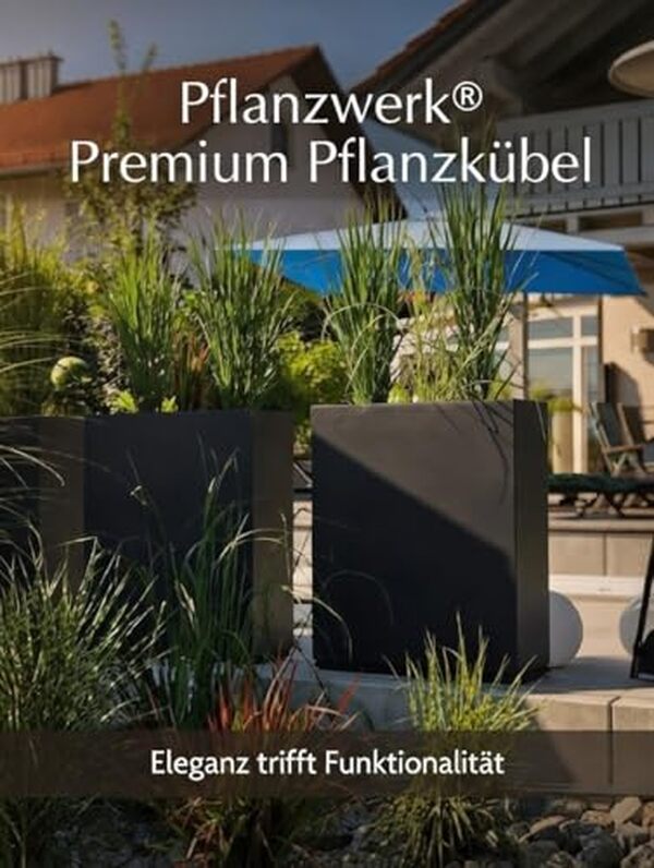 Découvrez notre test complet du pot Pflanzwerk Divider : une jardinière moderne, ultra-résistante et protégée UV. Avis, caractéristiques et conseils d'utilisation. 